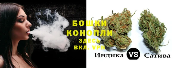 Альфа ПВП Снежногорск