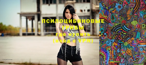 PSILOCYBIN Богородск