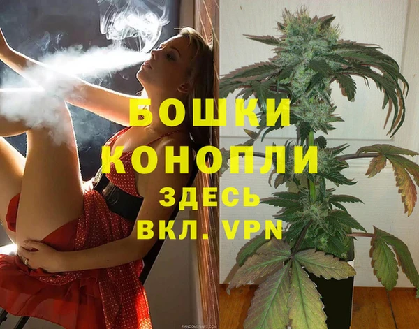 Альфа ПВП Снежногорск